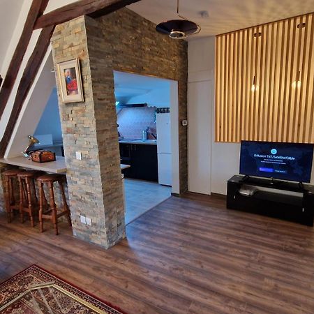 La Cigogne Apartamento Château-Thierry Exterior foto