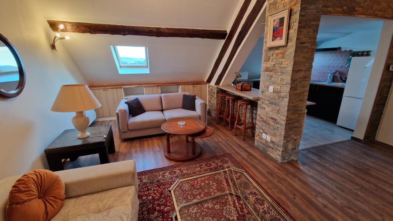 La Cigogne Apartamento Château-Thierry Exterior foto